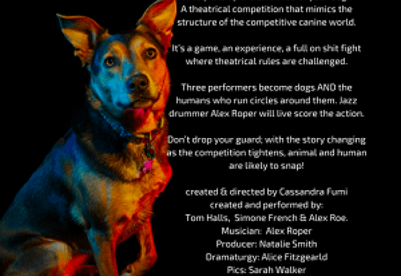 https://www.pbsfm.org.au/sites/default/files/images/Dog_Show.png